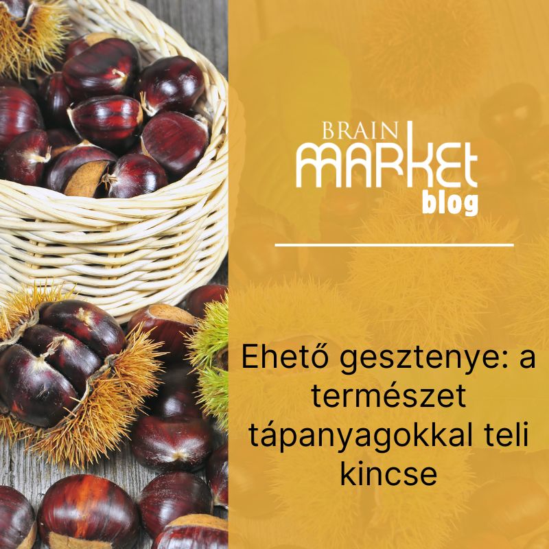 Ehető gesztenyék: A természet kincse tápanyagokkal teli